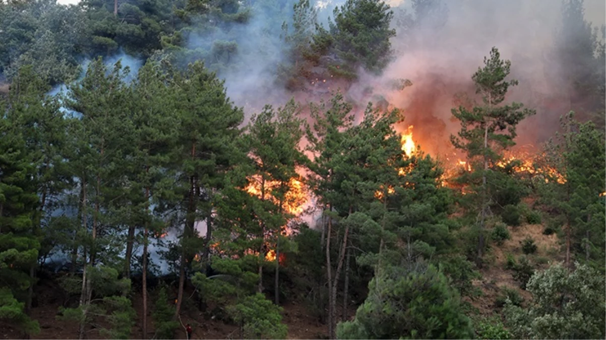 Kahramanmaraş’taki orman yangınının nedeni "piknikçi ateşi"