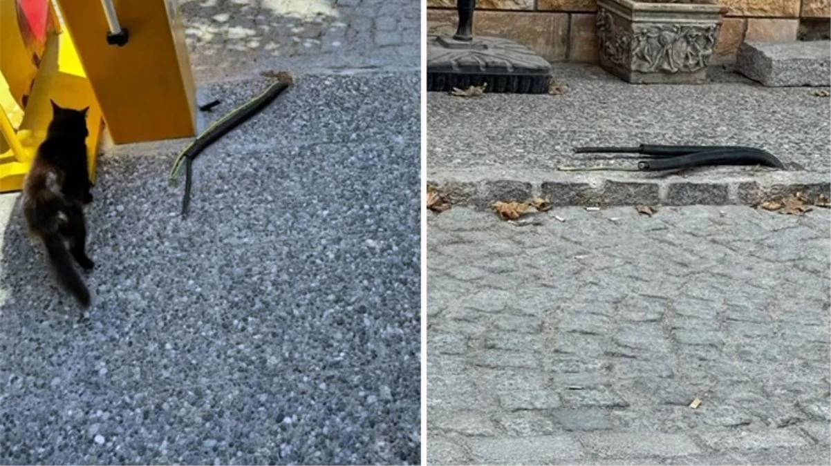 Yine İzmir yine skandal görüntüler! Foça’da elektrik kablolarını açıkta bıraktılar