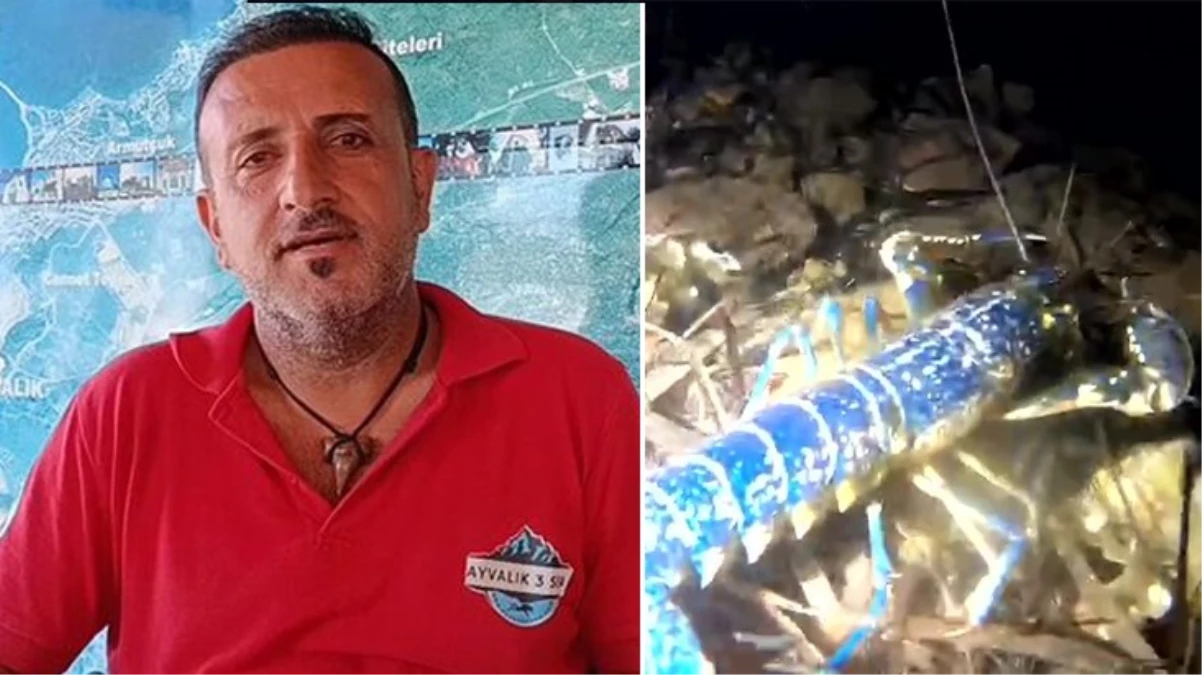 200 milyonda bir görülen Mavi ıstakoz Balıkesir’de! Sualtı kamerasıyla kaydetti