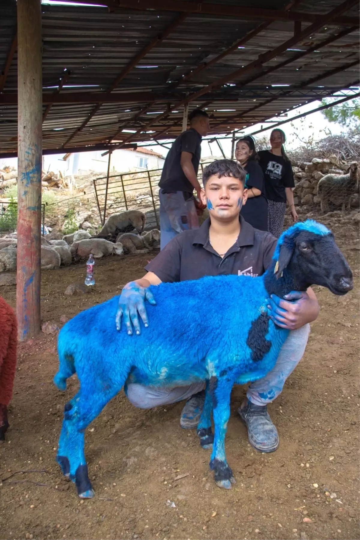Burdur’da 7 asırlık gelenek: Yünüm Böğet